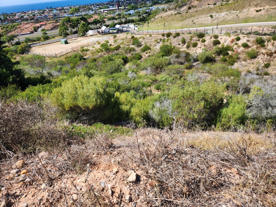 0 Bedroom Property for Sale in Menkenkop Western Cape